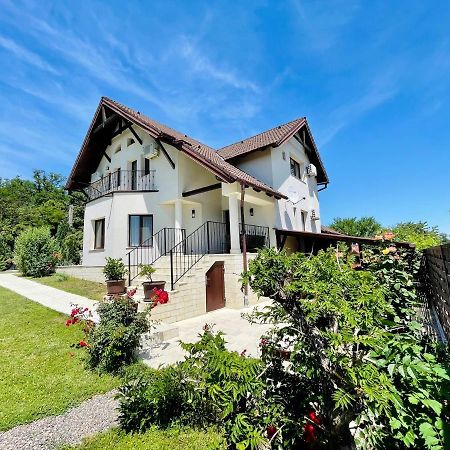 Hermesvilla Băile Felix Extérieur photo