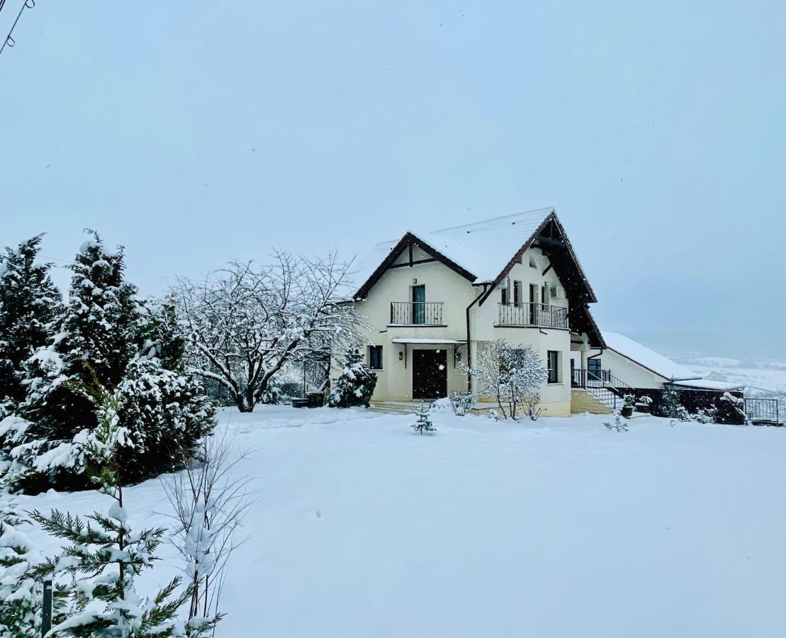 Hermesvilla Băile Felix Extérieur photo