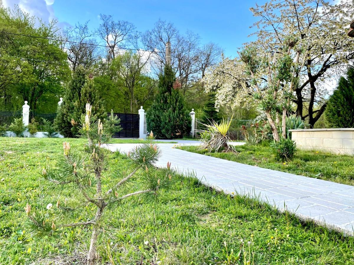 Hermesvilla Băile Felix Extérieur photo
